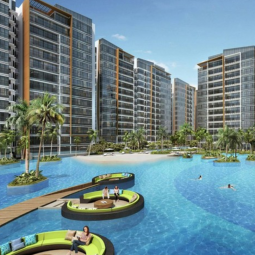 coco palms coco palms